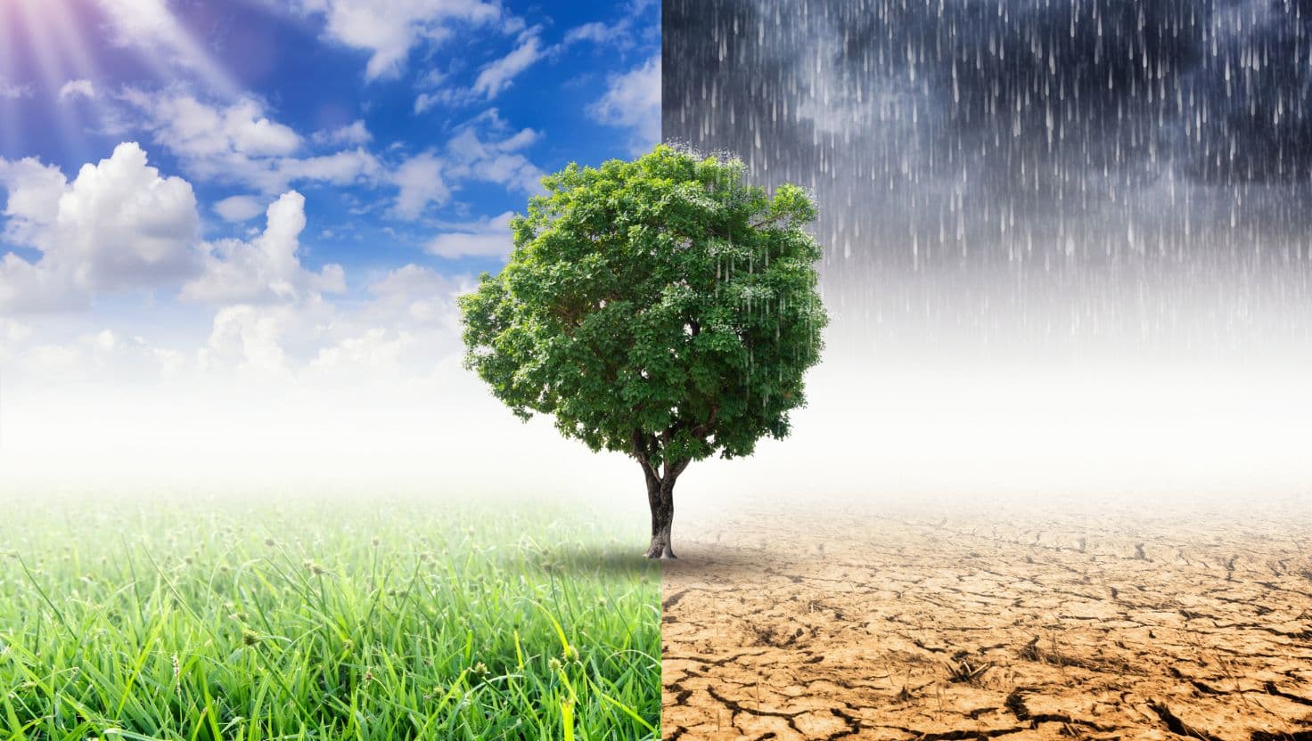 Understanding the Relationship Between Climate Change and Weather Hazards
